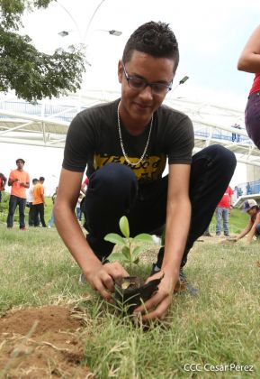 Homenaje al héroe de la solidaridad Roberto Clemente