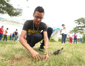 Homenaje al héroe de la solidaridad Roberto Clemente