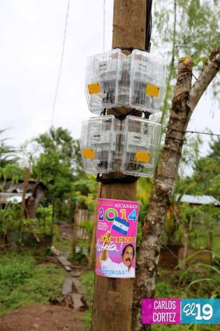 Familias de El Rama celebran normalización del sistema energético
