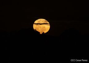 Visita de la Delegación de alto nivel de Vietnam