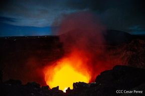 Visita de la Delegación de alto nivel de Vietnam