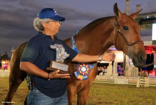 Nicaragua ostenta la mejor genética del caballo español durante la FERPRE 2014