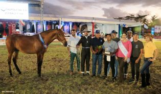 Nicaragua ostenta la mejor genética del caballo español durante la FERPRE 2014