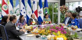 Reunión virtual extraordinaria de Jefes de Estado y de Gobierno del SICA