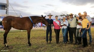 Nicaragua ostenta la mejor genética del caballo español durante la FERPRE 2014