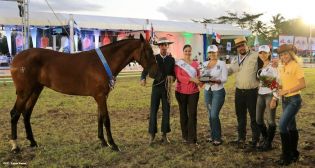 Nicaragua ostenta la mejor genética del caballo español durante la FERPRE 2014