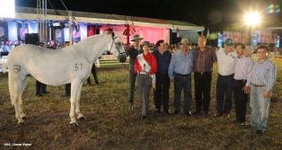 Show sinfónico ecuestre en la FERPRE 2014