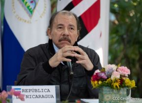 Cumbre virtual de MNOAL sobre la Covid-19