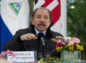 Cumbre virtual de MNOAL sobre la Covid-19