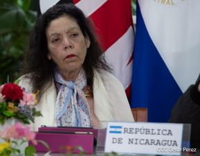 Cumbre virtual de MNOAL sobre la Covid-19