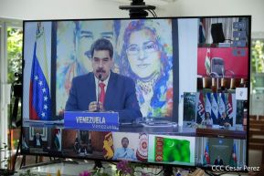 Cumbre virtual de MNOAL sobre la Covid-19