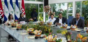 Cumbre virtual de MNOAL sobre la Covid-19