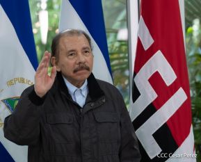 Cumbre virtual de MNOAL sobre la Covid-19