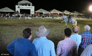 Show sinfónico ecuestre en la FERPRE 2014
