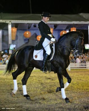 Show sinfónico ecuestre en la FERPRE 2014