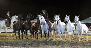 Show sinfónico ecuestre en la FERPRE 2014