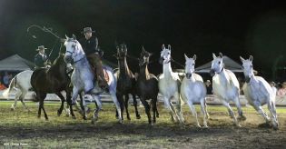 Show sinfónico ecuestre en la FERPRE 2014
