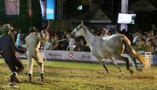 Show sinfónico ecuestre en la FERPRE 2014