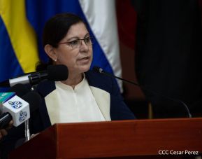 Reconocimiento al héroe de la solidaridad Brian Wilson