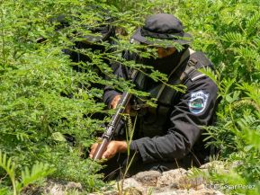 DOEP de la Policía Nacional realiza ejercicios demostrativos