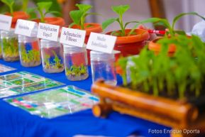 Segundo día de Expopyme 2020