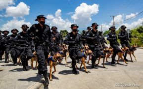Nuestra Policía Nacional y su técnica canina para reforzar la seguridad ciudadana en Nicaragua