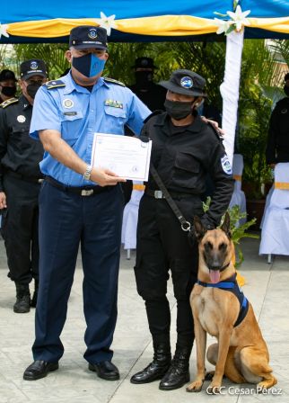 Nuestra Policía Nacional y su técnica canina para reforzar la seguridad ciudadana en Nicaragua