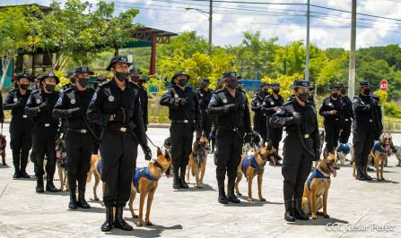 Nuestra Policía Nacional y su técnica canina para reforzar la seguridad ciudadana en Nicaragua