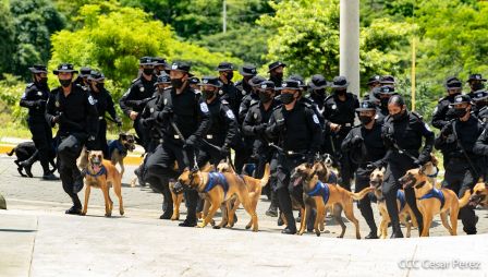 Nuestra Policía Nacional y su técnica canina para reforzar la seguridad ciudadana en Nicaragua