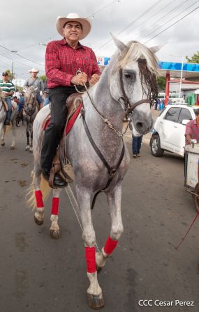 Derroche de cultura y tradición en desfile hípico de Masaya