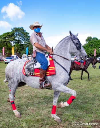 Derroche de cultura y tradición en desfile hípico de Masaya