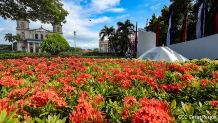 Una flor para el Comandante Carlos en su 44 Aniversario de Luz, Vida y Verdad
