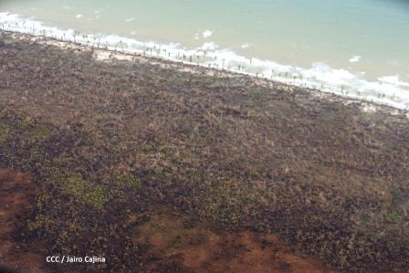 Recorrido aéreo´de exploración de Ineter y Marena por zonas afectadas por huracanes Eta y Iota