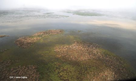 Vista aérea de Bilwi ,Prinzapolka  y Alamikamba despues del paso de dos huracanes