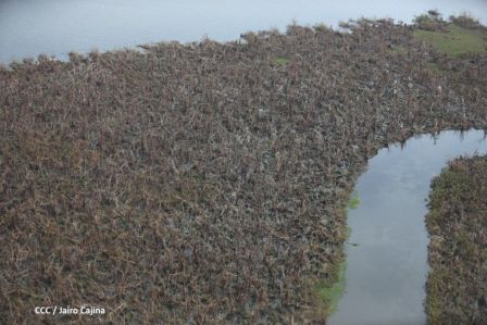 Vista aérea de Bilwi ,Prinzapolka  y Alamikamba despues del paso de dos huracanes