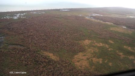 Vista aérea de Bilwi ,Prinzapolka  y Alamikamba despues del paso de dos huracanes