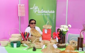 II Expo Feria Nicaragua Fuerza Bendita: Despliegue del Talento de Artistas que Inspiran a todo un Pueblo