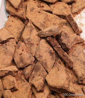 ¿Quién Causa Tanta Alegría? ¡La Concepción de María!