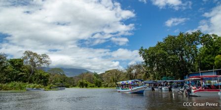 Viacrucis Acuático de Granada