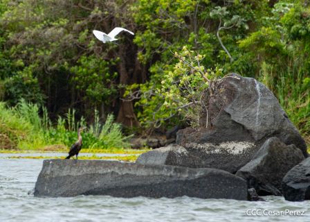 Viacrucis Acuático de Granada