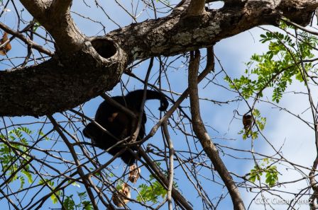 Viacrucis Acuático de Granada