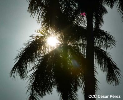 Municipios Limpios 2021