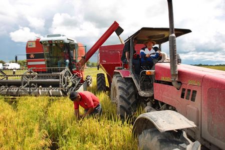 Trayectoria Revolucionaria del Comandante Eterno Hugo Chávez