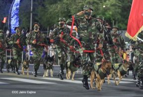 Desfile Pueblo-Ejército conmemorando 42 Años de Amor a la Patria
