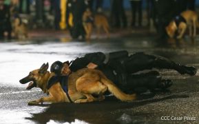 Desfile policial Centinelas de la Paz por el 42 aniversario de la Policía Nacional