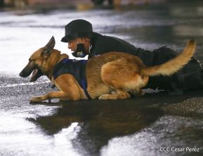 Desfile policial Centinelas de la Paz por el 42 aniversario de la Policía Nacional