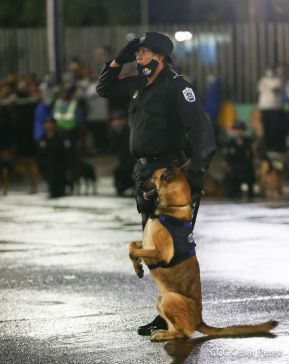 Desfile policial Centinelas de la Paz por el 42 aniversario de la Policía Nacional