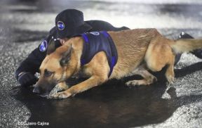 Desfile policial Centinelas de la Paz por el 42 aniversario de la Policía Nacional