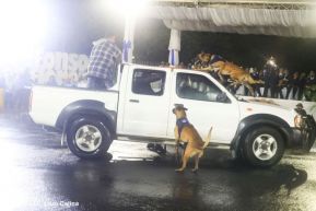 Desfile policial Centinelas de la Paz por el 42 aniversario de la Policía Nacional