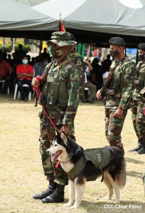 Seguridad, estabilidad, tranquilidad y paz para trabajar, producir y mejorar la economía